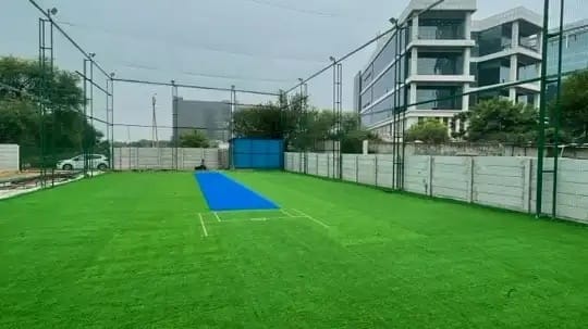 Cric & Pick — Cricket in Golf Course Extension, Gurugram